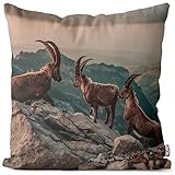 VOID Steinböcke Schweizer Alpen Berge Kissenbezug Kissenhülle Polyester wasserfest Outdoor Indoor, Kissen Größe:50 x 50 cm