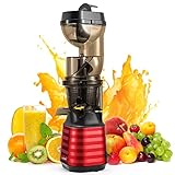 GJCrafts Entsafter Slow Juicer 200W 76MM breiter Schacht Kaltpress Entsafter Rückwärts Funktion Automatische Reinigung Entsafter Gemüse und Obst