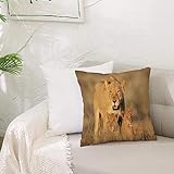 Kissenbezug Polyester Zierkissenbezug,Savannah Mom Lioness and Young Lion in South Nature Big Cats at Wilderness Savannah T,Dekorativen Kissenhüllen Weiches Kissen für Sofa Couch Schlafzimmer 50x50 cm