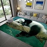 VITREGEN Baumstamm Tier Panda 3D Wohnzimmer Teppich Bereich Bodenmatte Schlafzimmer Krabbelmatte Türmatte