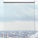 Transparentes Wasserdichtes Rollo,PVC Klare Reißfeste Wetterfeste Durchsichtige Rollos,Outdoor Pergola Seitenzug-Rollo,Kunststoff Regenschutz Rollos,für Außen,Breite X Höhe (80x80cm)