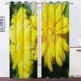 Vorhänge GrüNe Ringelblume Vorhang Blickdicht VerdunklungsvorhäNge mit öSen, Gardinen Wohnzimmer Schlafzimmer Modern Bedruckt Curtains H 138 X B 117 cm 2er Set