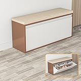 Schuhschrank,Schuhbank Mit Sitzkissen, Bank-Aufbewahrungsorganisator, Schuhregal-Bank, Schuh-Aufbewahrungsorganisator Mit Sitz, Für Eingangsbereiche, Flure, Schränke ( Size : B , Color : BEIGE GRAY_10