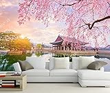 Individuelle Fototapete Wandbilder - Rosa Kirschblüten-Sonnenunterganglandschaft - Selbstklebende Tapete Panorama 3D Wandbild Tapete 3D Effekt Wandposter Für Wohnzimmer Schlafzimmer 350(B) x256(H) cm