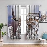 SPADEACES Vorhänge Blickdicht Mit Ösen, 2 Stücke Thermogardine Schlafzimmer Wohnzimmer Kinderzimmer 3D Alpine Schneeadlerlandschaft Druck Modern Vorhang Wärmeisolierend Schallschutz 336X230Cm (BxH)