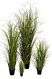 Klocke Kunstpflanzen Hochwertiges & Künstliches Gras/Dekogras im Topf - Wunderschön & Naturgetreu - Grasarrangement/Gras Arrangement/Grasbüschel/Grasbündel (Groß: 150cm)