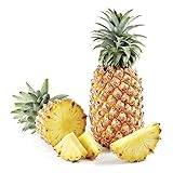 20 Pcs Ananas Samen Winterharte Pflanzen, Samen Balkon Ananas Comosus Indoor Garden, Geschenke Für Gartenfreunde Säulen Obstbäume, Stauden Winterhart Mehrjährig Plants, Sukkulenten