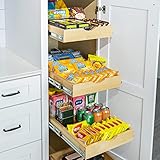 ALINE 43.2 cm breite Schrank-Organizer und Aufbewahrung, ausziehbarer Schrank-Organizer, ausziehbare Schrankregale, Holzregal für Küche, Badezimmer (43.2 cm Bx53.3 cm T)