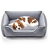 Lohofrnny Hundebett, Katzenbetten für Hauskatzen, Hundebett mit Rand, Hundekissen Vier-eckig mit Rutschfester Unterseite, Gemütliches Hundesofa, Hundekörbchen Abnehmbar und Waschbar (L, Grau)