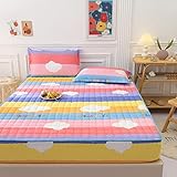 BAJIN Matratzen-Bett-Schoner mit Spannumrandung |Auch für Boxspring-Betten und Wasser-Betten geeignet | Microfaser | 100% Polyester | Matratzen-Auflage,120x200+25cm