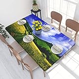 Jadery Hills Landscape Path Sky Tischdecke, knitterfrei, schmutzabweisend, dekorative Tischdecke für Küche, Esszimmer, Erntedankfest, Weihnachten – 76 x 122 cm