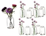 BigDean 12er Set Blumenvase eckig 9x4 cm – Tischvase Glasvase für Blumen und Trockenblumen – Kerzenhalter Dekovase - Made in Germany