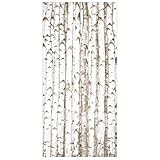 Bilderwelten Raumteiler No.YK15 Birkenwand 250x120cm inkl. transparenter Halterung