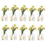 Hewory Vase Glas Blumenvase Modern 30 Stück Vasen Deko Wohnzimmer Tulpenvase Glasvase Gross Vase Groß Kerzenhalter Glaszylinder Set für Hochzeit Tischdeko, 10/15/20cm Hoch