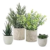 Veryhome 4 Stück Künstliche Pflanze in Töpfen Sukkulenten-Pflanzen Faux Eucalyptus Kleine Kunstpflanze Rosemary für Gefälschte Sukkulenten Home Desk Living Room Decor