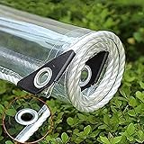 Klare Plane, strapazierfähiges, wasserdichtes PVC-Glas, durchsichtige Abdeckplane, Dicke transparente Plane mit Öse (Größe : 3x4m/9.8x13ft)
