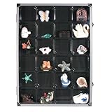 Sammelvitrine mit 24 Fächern: Format ca. 395 x 300 x 45 mm