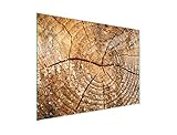 DarHaus Herdabdeckplatte 40x30 cm Einteilig Glas Elektroherd Induktion Herdschutz Spritzschutz Glasplatte Deko Schneidebrett, Holz Braun