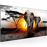 Runa Art Wandbild Afrika Elefant 1 Teilig Modern Bild auf Vlies Leinwand Wohnzimmer Flur Panorama Grau Orange 007612a