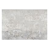 Apalis Shabby Betonoptik Vliestapete, Größe: 290cm x 432cm