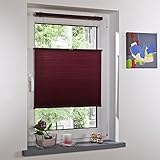 Liedeco® Thermo-Plissee freihängend mit Klemmträger / 100 x 130 cm Bordeaux (Breite x Höhe) / lichtdurchlässig Blickdicht und stufenlos verstellbar / Wabenplissee / leichte Innen-Montage ohne Bohren