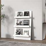Zeitschriftenregal Boden, Vertikaler 3 stufiger Zeitungsständer für Wartezimmer Wohnzimmer Büro Home Display, Einfach zu montieren Literatur Aufbewahrungsorganisator ( Color : B , Size : 100x63cm/39.4