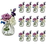 casavetro 12 x Kleine Vase Blumen Tisch-Vase Dekoration Hochzeit Party Set Flasche Glas klar (12 Stück Prime)(Kürbis-OK)