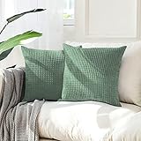 FreeBiz 2er Set Kissenbezüge Kordsamt Dekokissen Kissenbezug Sofakissen Dekorativ Kord Couchkissen Kissenhülle Bezug Zierkissenbezug Deko Weich für Wohnzimmer Schlafzimmer Zuhause 45x45 cm Grün