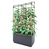 Bio Green Pflanzkübel CITYJUNGLE | Hochbeet für Balkon und Terrasse | Wasserspeicher und Rankhilfe integriert | Blumenkasten für Gemüse und Kräuter | 62 x 33 x 128 cm