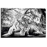 REINDERS Tiger guckt Dich an - Wandbild 90 x 60 cm