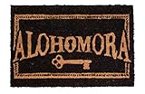 SD Toys Alohomora Doormat Harry Potter Offizielle Merchandising Referenz DD Heimtextilien Unisex Erwachsene, Mehrfarbig (Mehrfarbig), einzigartig