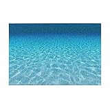 TROONZ Bedruckte Außen-Fußmatte mit Unterwasserlandschaft, rutschfeste Fußmatten für den Inneneingang, PVC-Teppichunterlage für die Außenterrasse 40 x 60 cm