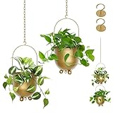 AceList Blumentopf hängend, 2er-Set Metall Blumenampel innen mit Haken und Kettenverlängerung, Boho hängende Pflanzgefäße (Gold)
