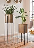 Dekoleidenschaft 2X Übertopf Gold mit Ständer aus Metall in schwarz, Pflanzer, Blumentopf, Pflanzgefäß mit Gestell, Pflanzenständer, Blumensäule, Pflanztopf