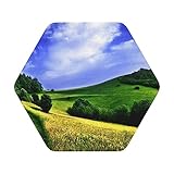 Hills Landscape Path Sky Getränkeuntersetzer Set von 6 – Leder-Untersetzer, dekorative Tassen-Untersetzer für Arten von Tassen und Tassen, 10,2 cm