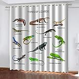 GSKOQD Vorhang Blickdicht Ösenschal Verdunkelungsvorhang Digitaldruck 3D Tierische Eidechsenart Gardinen Wohnzimmer Schlafzimmer Thermovorhang Deko Vorhänge 2Er Set - 200X200Cm (B X H)