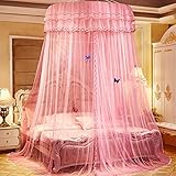 SORVA Stickerei-Rüschen-Moskitonetz für Bett, Betthimmel für Mädchen, Frauen, Kinder, Kleinkinder, Kinderbett, Erwachsene, Bettvorhänge, Bettwäsche-Dekor (rot) (Color : Purple)