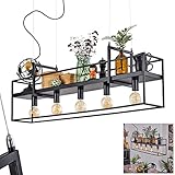 HOFSTEIN Pendelleuchte Victorine, moderne Hängelampe aus Metall in Schwarz/Chromfarben, Hängeleuchte mit Ablage, verstellbare Höhe max. 137 cm, 5-flammig, 5 x E27, ohne Leuchtmittel