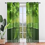 Hiseng Voile Vorhänge mit Ösen Durchsichtig Halbtransparent Ösenvorhang für Fenster Wohnzimmer Schlafzimmer Vierblättriges Kleeblatt Moderne Transparent Gardine 2er Set (140x213cm,Geschenkbaum)