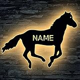 Rennpferd Tier LED Beleuchtung Pferd personalisiert mit Wunsch Namen Lasergravur Schlummerlicht Nachtlicht für Kinderzimmer Geschenk - in 13 Farben