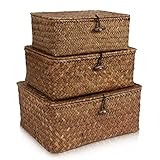 HUALIANG Rattan Aufbewahrung Korb mit Deckel,3 Pieces Natürliches Seegras Geflochtener Regalkörbe,Multifunktionaler Aufbewahrungsbox zum von Spielzeug Kosmetika badezimmer toilettenpapier aufbewahrung