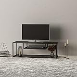 [en.casa] TV Board Isokyrö Fernsehtisch mit Ablagefach Lowboard 120 x 40 x 40 cm Sideboard Metall Schwarz matt