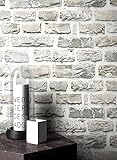 Steintapete Vlies Grau Edel | schöne edle Tapete im Steinmauer Design | moderne 3D Optik für Wohnzimmer, Schlafzimmer oder Küche inklusive NewroomTapezier-Profibroschüre, mit Tipps für perfekteWände