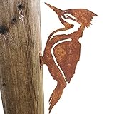 Rost Metall Specht Dekoration, Vogel Silhouetten Garten Zaun Outdoor Kunst Statue Dekor, Vogel Metall Kunst Specht Schild, Vogel Dekor für Garten Hof, Geburtstag Geschenkidee