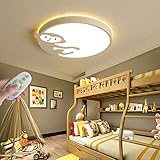 GZJtutWj Cartoon LED Schlafzimmer Dimmbar Deckenlampe, Mädchen Jungen Baby Kinder Zimmer Lampe Deckenleuchten Mit Fernbedienung Kreative AFFE Tier Acryl Lampenschirm,Grau,60cm/23.6in