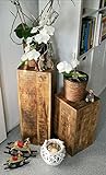 casamia Blumensäule Set 27x27cm 2 Stück Blumen Hocker Holz Mango Pflanzenständer Beistelltisch quadratisch