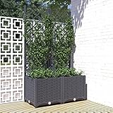 JUNZAI Pflanzkübel mit Spalier, Pflanzkübel Mit Rankgitter, Blumenkasten Mit Rankgitter, Spalier, Pflanzkasten, Pflanzgefäß, Dunkelgrau 80x40x136 cm PP