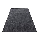 SIMPEX Teppich Kurzflor Modern Wohnzimmer Einfarbig Meliert Uni Günstig Versch. Farben, Farbe:Grau, Größe:80x150 cm
