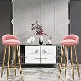 Barhocker, Metall-Barstühle, Barhocker, 2 Stück, Moderne Frühstückshocker mit ergonomisch gepolsterter Rückenlehne, Samtkissen und Fußstütze (Größe: 65 cm, Farbe: Grau) (Pink 75 cm)