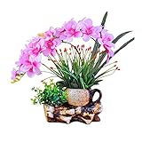 NYKK Künstliche Blume Künstliche Phalaenopsis-künstliche Blumen-Set, Keramik-Blumentopf, Heim Tabelle, gefälschter Blumenschmuck, künstliche gefälschte Blumen Bonsai Ewige Blume